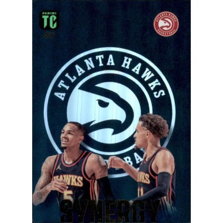 2023-24 PANINI NBA Top Class - #217 - Trae Young / Dejounte Murray - Atlanta Hawks - Synergy